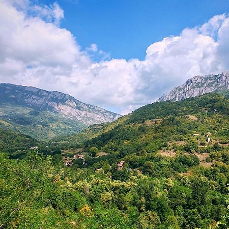 Juzni Vetar Hotel Trnski Odorovci Luaran gambar