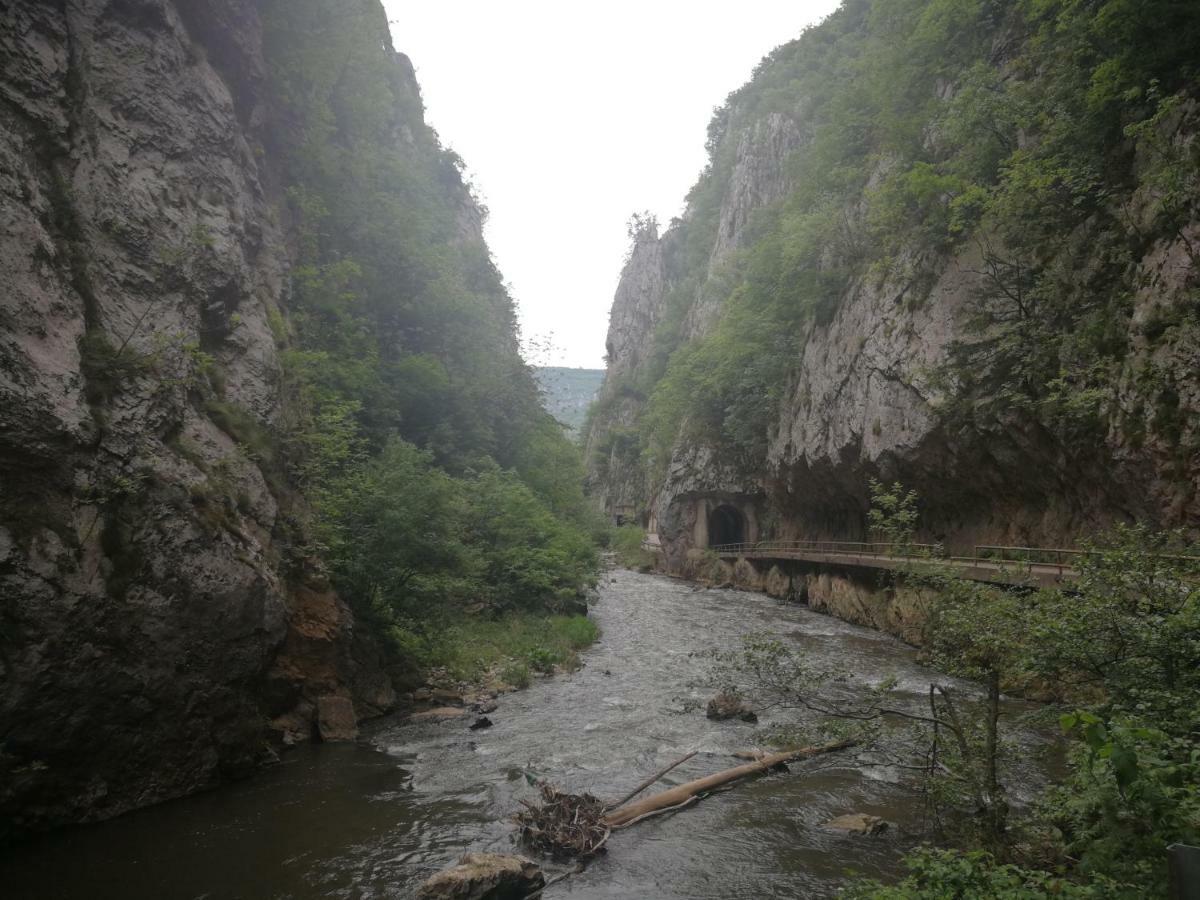 Juzni Vetar Hotel Trnski Odorovci Luaran gambar